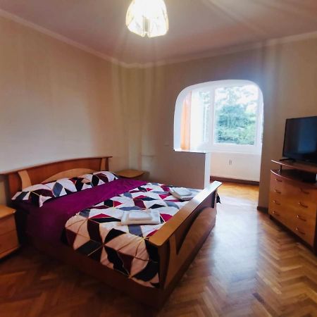 Anv Apartment Fagaras Bagian luar foto